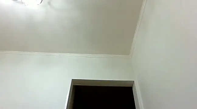 ArtAlina77 online show from December 22, 2024, 5:10 pm