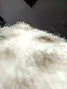 Sin love online show from March 7, 2026, 6:13 pm