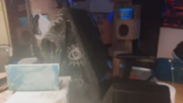 spunlikecottoncandy online show from November 17, 2025, 10:52 am