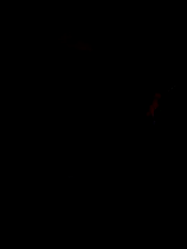 DominiqueX0 online show from November 18, 2025, 1:43 am