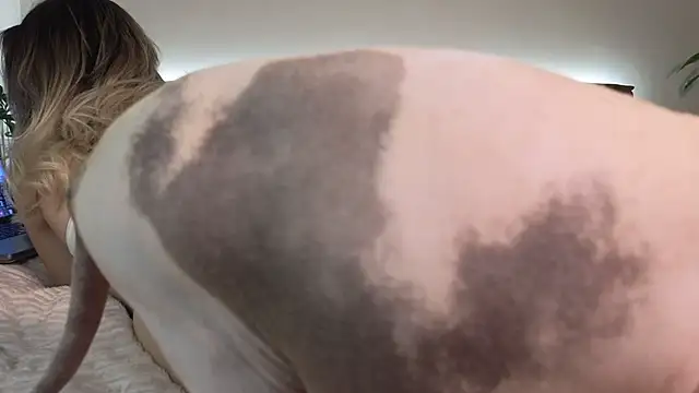 PassionAnn online show from October 28, 2025, 7:13 pm