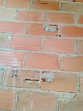 magrinhosafadao online show from November 25, 2025, 9:20 am