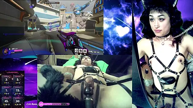 Solumi online show from February 11, 2026, 8:14 am