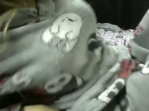 Paulita x3 online show from September 11, 2025, 11:54 am