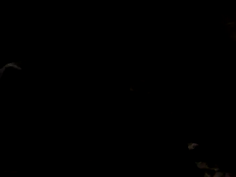 Snapshot of Nawtyslaveteen chatting on November 24, 2025, 8:31 pm Nawtyslaveteen online show from November 24, 2025, 8:31 pm