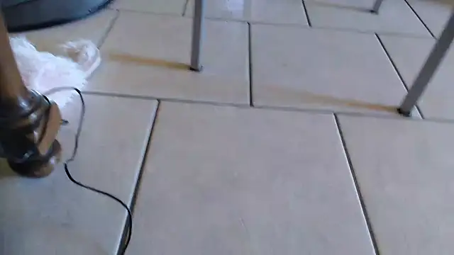 69porcellone69 online show from October 2, 2025, 7:01 am