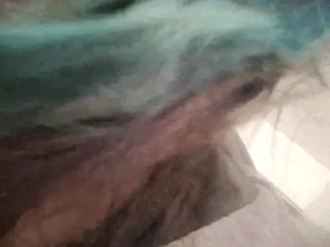 SmokeShow686 online show from March 29, 2026, 5:36 pm