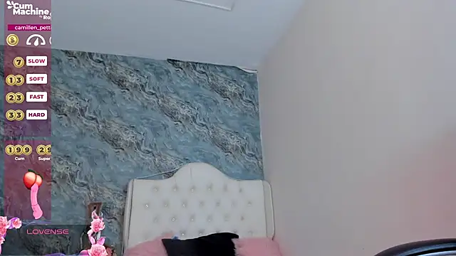 Snapshot of CAMILLEN_PETTID chatting on February 4, 2025, 10:55 pm CAMILLEN PETTID online show from February 4, 2025, 10:55 pm
