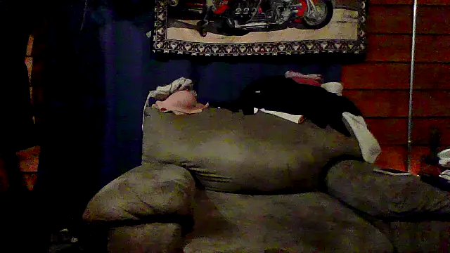 Snapshot of Brooke-lynn chatting on December 29, 2024, 5:54 pm Brooke-lynn online show from December 29, 2024, 5:54 pm