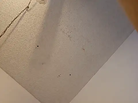 anyway2cum online show from January 19, 2025, 2:59 pm