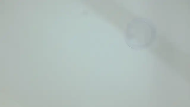 Snapshot of Nicole_aniston11 chatting on July 7, 2026, 6:47 am Nicole aniston11 online show from July 7, 2026, 6:47 am