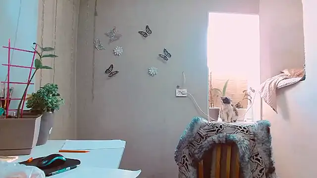 RosaJil online show from February 12, 2025, 1:48 pm