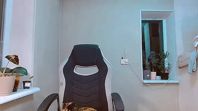 RosaJil online show from November 9, 2025, 5:50 pm