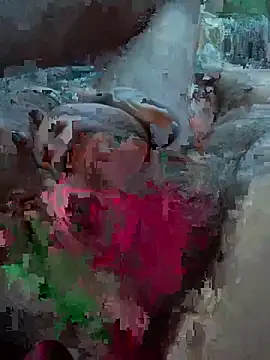 Followthepiper online show from February 27, 2026, 12:11 am