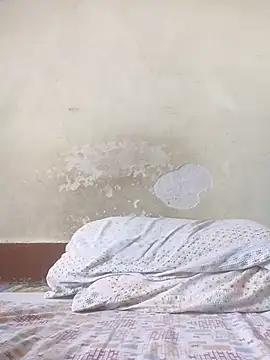 Rishimumbai hot online show from February 19, 2025, 5:16 am