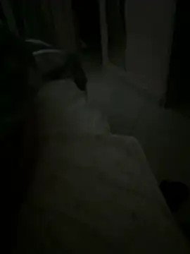 EleonoraMora86 online show from January 12, 2026, 2:07 am