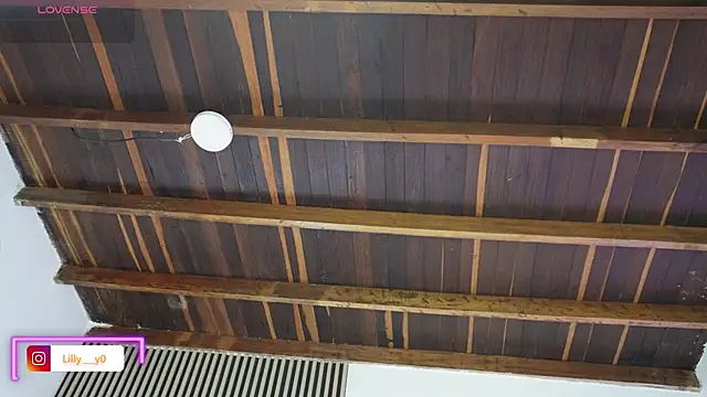 LillyDolls23 online show from February 11, 2026, 1:11 pm