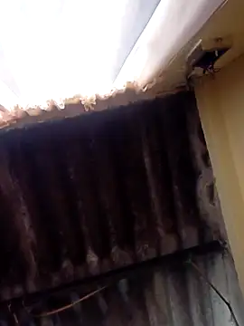 dantero online show from February 27, 2025, 3:48 pm