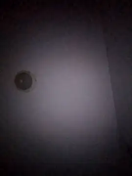 Treemandude online show from January 15, 2026, 11:02 am