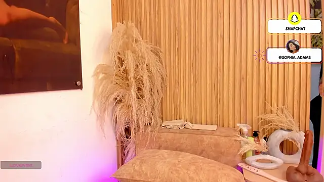 Snapshot of sofhiaa_adaams chatting on February 25, 2026, 10:31 pm sofhiaa adaams online show from February 25, 2026, 10:31 pm