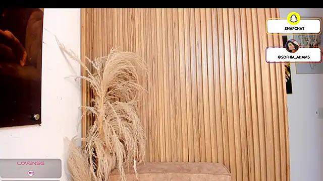 Snapshot of sofhiaa_adaams chatting on February 22, 2026, 5:14 pm sofhiaa adaams online show from February 22, 2026, 5:14 pm