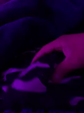 Ghotsniper666 online show from October 14, 2025, 6:47 am