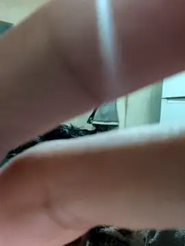 khema99 online show from January 12, 2026, 10:03 pm