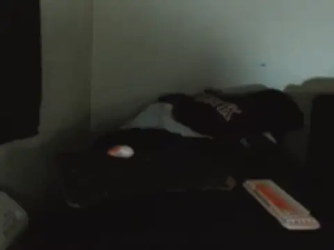 EXOTICLEXXXI online show from September 29, 2025, 1:23 am