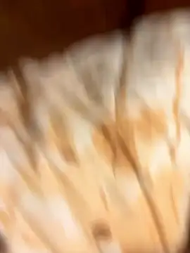 Snapshot of gigetto1977 chatting on January 7, 2026, 2:33 pm gigetto1977 online show from January 7, 2026, 2:33 pm