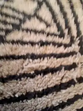 Snapshot of Gros-tuyau-93 chatting on March 26, 2026, 8:56 am Gros-tuyau-93 online show from March 26, 2026, 8:56 am