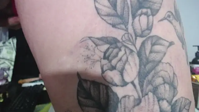 thalia tits online show from February 26, 2026, 11:27 pm