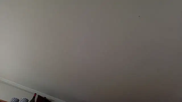 molozeb online show from September 24, 2025, 2:12 pm