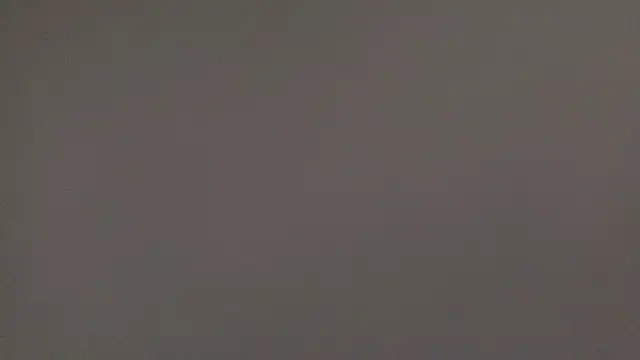 molozeb online show from October 5, 2025, 7:21 am