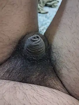 Snapshot of dirtybearr chatting on February 5, 2026, 5:42 pm dirtybearr online show from February 5, 2026, 5:42 pm