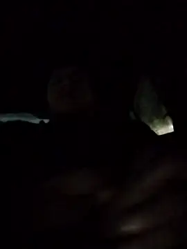 papillon013 online show from December 16, 2024, 8:52 am