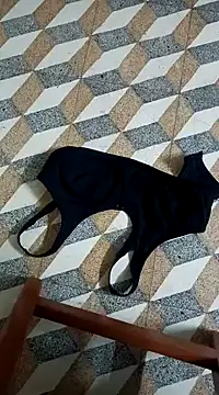 heartbroke13 online show from February 11, 2025, 3:08 am