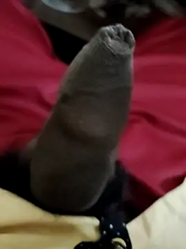 Snapshot of Ashish02345 chatting on December 6, 2024, 6:44 pm Ashish02345 online show from December 6, 2024, 6:44 pm