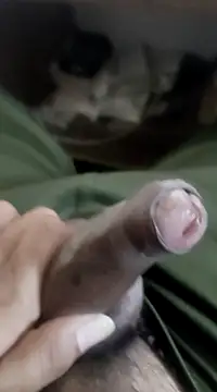 Snapshot of Ashish02345 chatting on March 14, 2025, 7:55 pm Ashish02345 online show from March 14, 2025, 7:55 pm