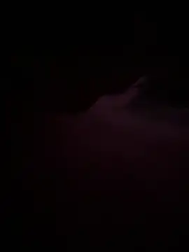 Nosleeptapoutvol1xxx online show from December 15, 2025, 1:11 am