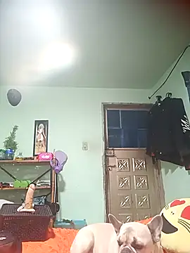 Snapshot of real_fenix chatting on September 13, 2025, 7:14 pm real fenix online show from September 13, 2025, 7:14 pm