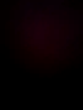 Dmitri Aksnes online show from December 15, 2024, 3:42 pm