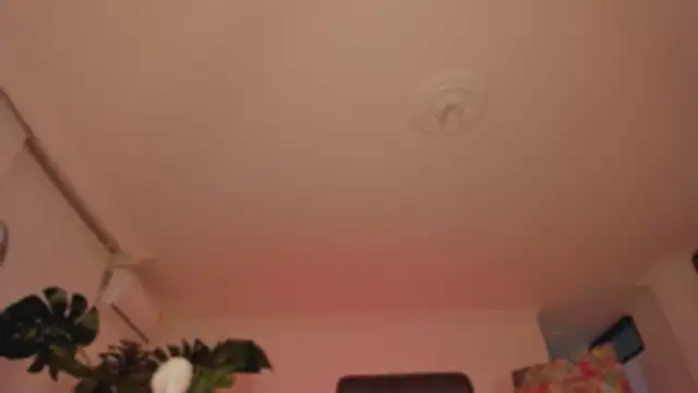 Taylor  foxxx online show from February 11, 2025, 4:11 am