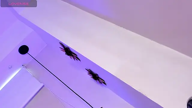 Dalila Thoms online show from February 28, 2025, 1:58 pm