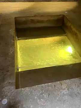  Miguel100 online show from November 9, 2025, 7:40 pm