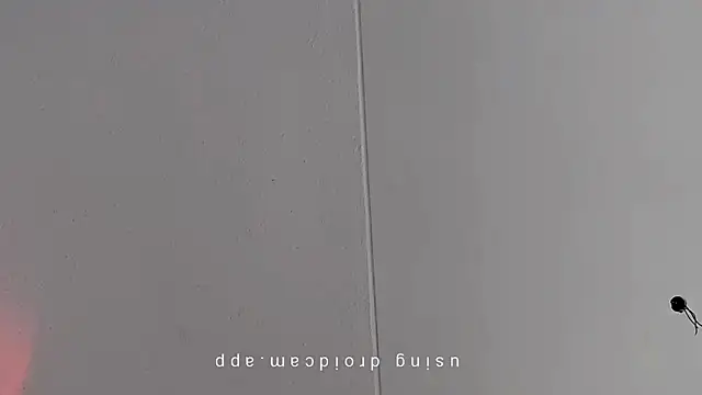 Pegg-fist-me online show from March 10, 2026, 8:51 am