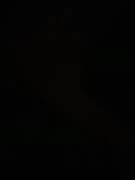 egyptman220 online show from March 8, 2026, 7:55 am