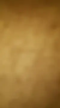 vinzpnr210 online show from January 15, 2025, 11:10 am