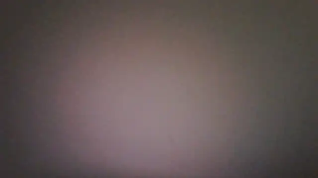 Vekie 007 online show from July 4, 2026, 5:47 am