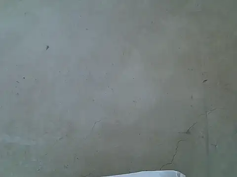 hairyswt pus online show from November 26, 2025, 10:04 am