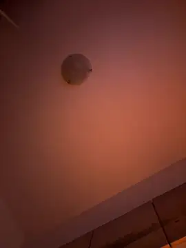 Snapshot of Sashabunny chatting on February 12, 2026, 8:08 pm Sashabunny online show from February 12, 2026, 8:08 pm